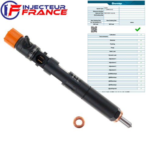 EJBR03101D DELPHI DIESEL INJECTEUR DACIA DOKKER NISSAN KUBISTAR RENAULT CAPTUR 1.5 dCi