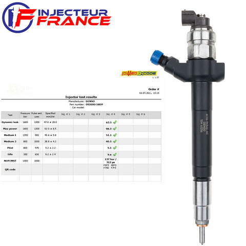 6C1Q-9K546-AC DENSO DIESEL INJECTEUR CITROEN FORD PEUGEOT FIAT 2.2 HDi 0950005800